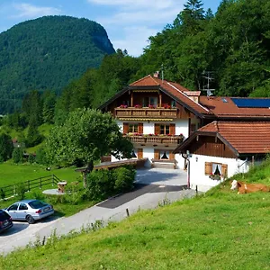 https://ferienwohnungen-vogelrast.com-bavaria.com